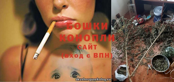 Альфа ПВП Осинники