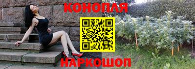 сатива Новокубанск