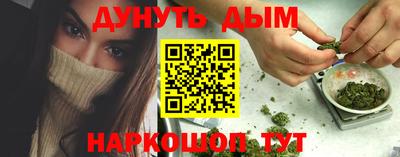 сатива Новокубанск