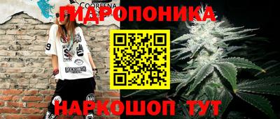 наркотики Новозыбков