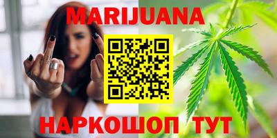 сатива Новокубанск