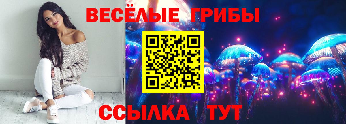 Псилоцибиновые грибы Psilocybine cubensis Южноуральск